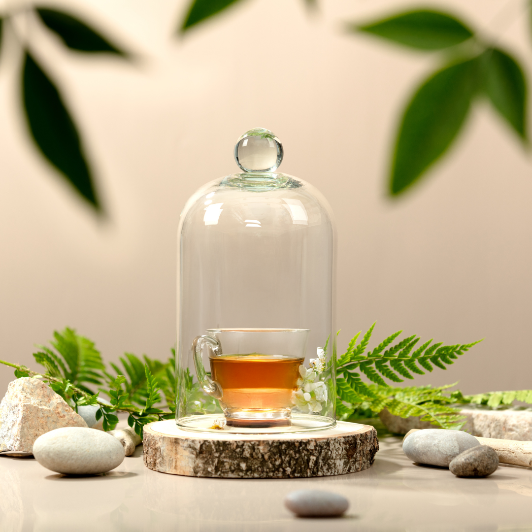 Filiżanka herbaty pod szklaną kopułą, ustawiona na drewnianym krążku w otoczeniu kamieni, paproci i zielonych liści. Naturalna, ekologiczna kompozycja w stylu wellness.