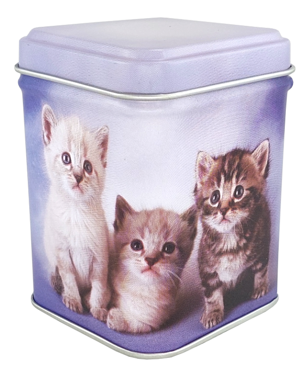 Metalowa puszka z trzema kociętami w pastelowych barwach prezentująca opakowanie kocimiętki.