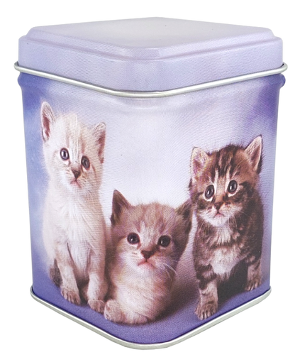 Metalowa puszka z trzema kociętami w pastelowych barwach prezentująca opakowanie kocimiętki.