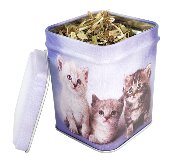 Otwarta puszka z motywem kociąt wypełniona kocimiętką przedstawiająca wygląd zioła i opakowania.