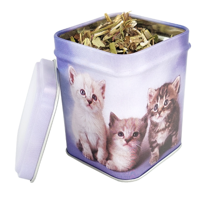 Otwarta puszka z motywem kociąt wypełniona kocimiętką przedstawiająca wygląd zioła i opakowania.