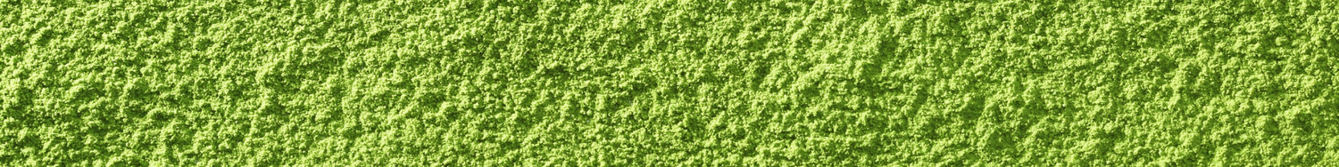 Zbliżenie na zielony proszek matcha, o intensywnej barwie i drobnej strukturze.