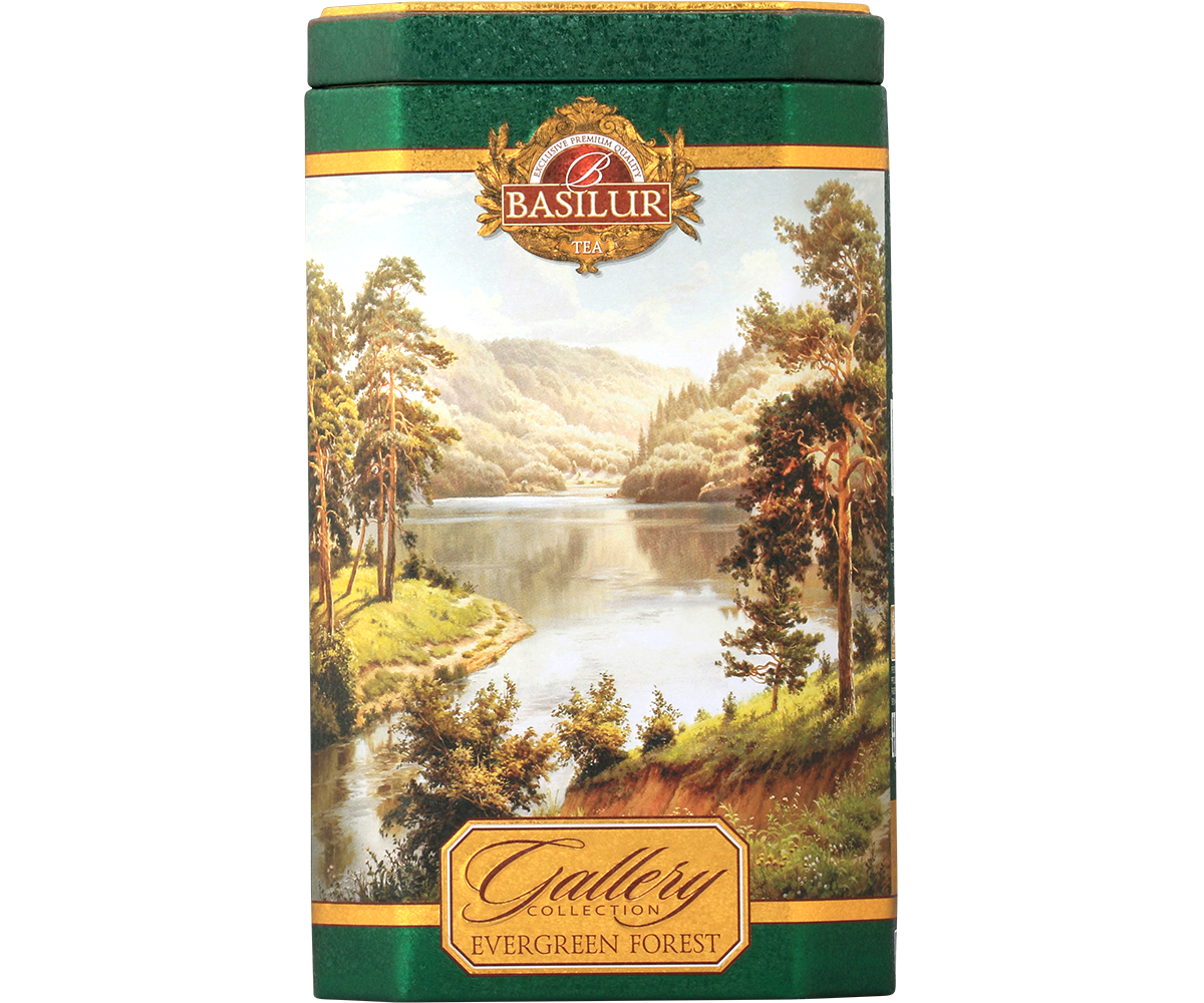 Herbata Basilur Evergreen Forest w ozdobnej zielonej puszce z krajobrazem lasu – zielona herbata cejlońska.