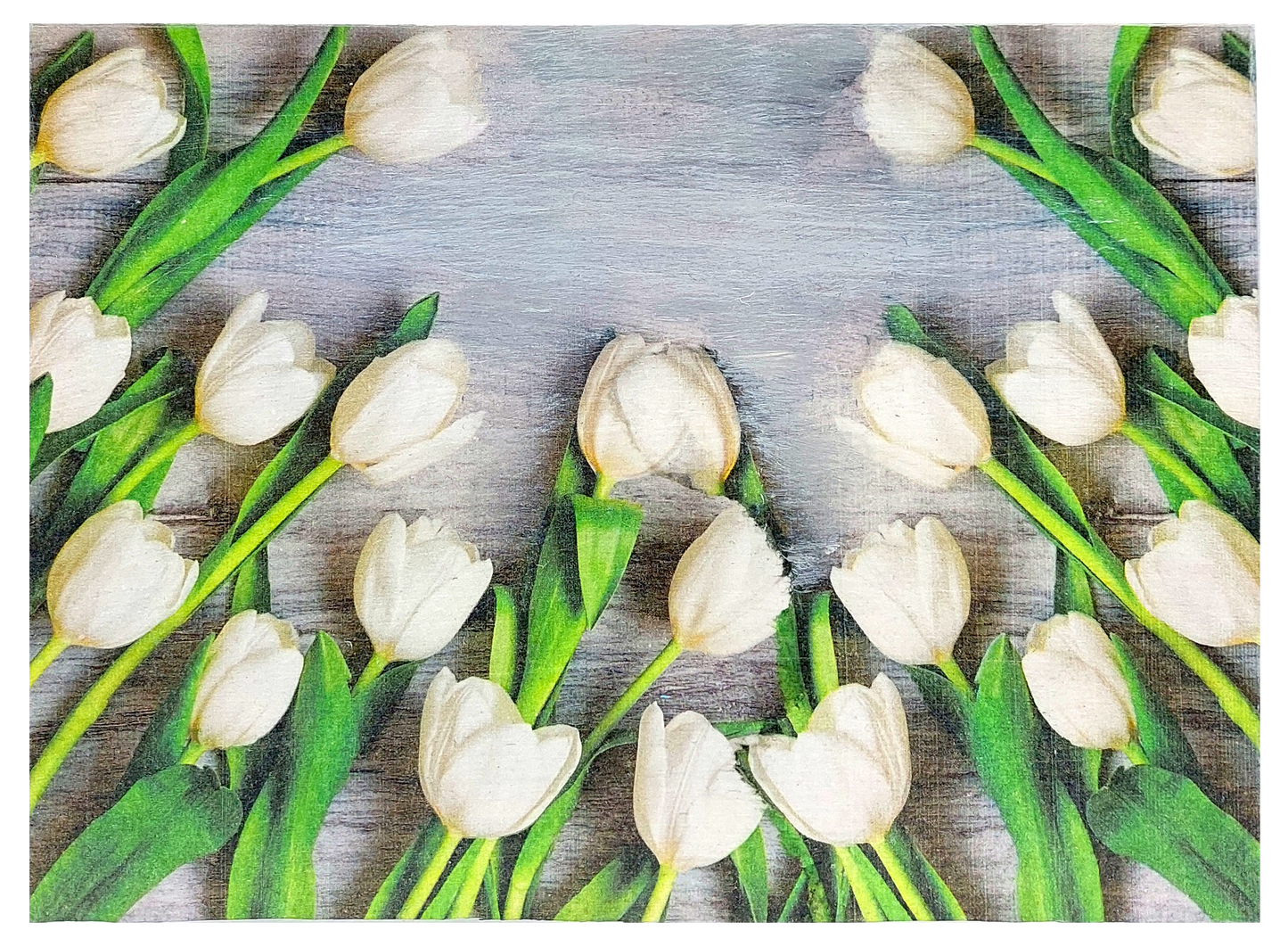 Pokrywa zestawu Basilur Białe Tulipany z motywem białych tulipanów.