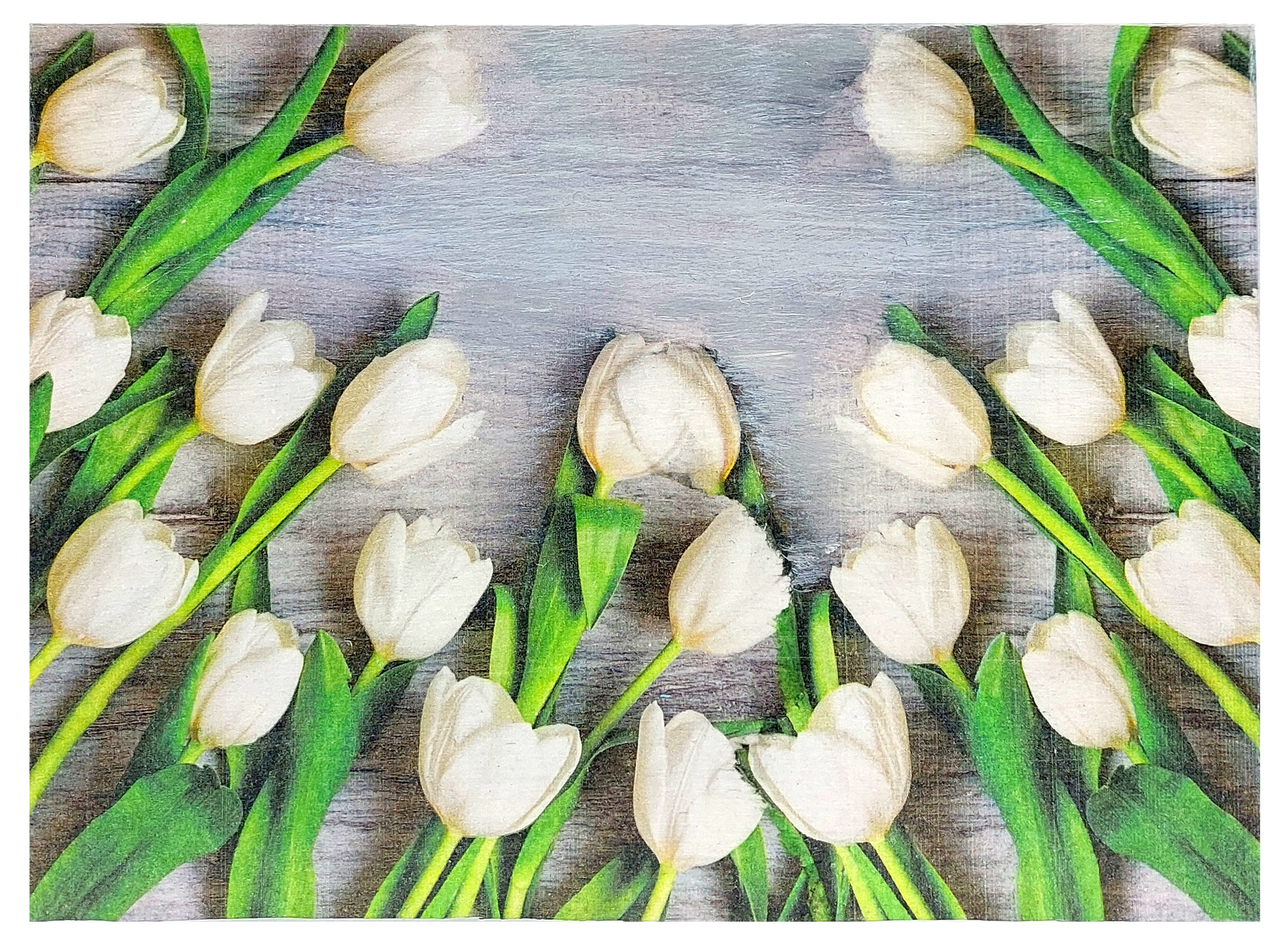 Pokrywa zestawu Basilur Białe Tulipany z motywem białych tulipanów.